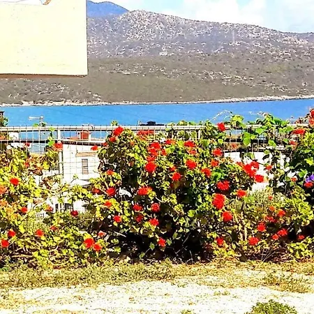 Elia - Seaside Place * Agios Nikolaos (Crete)